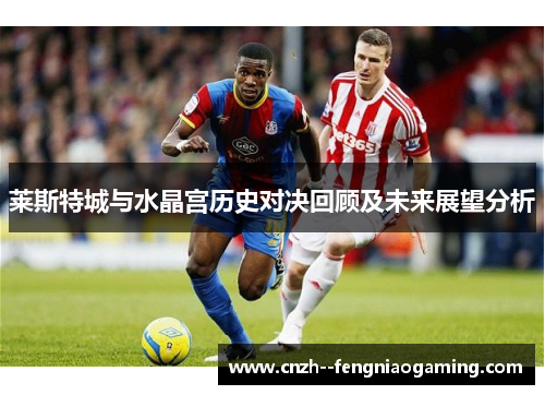 莱斯特城与水晶宫历史对决回顾及未来展望分析 莱斯特城与水晶宫历史对决回顾及未来展望分析