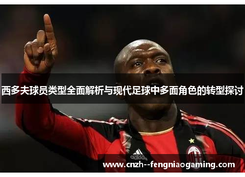 西多夫球员类型全面解析与现代足球中多面角色的转型探讨 西多夫球员类型全面解析与现代足球中多面角色的转型探讨