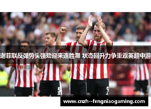 谢菲联反弹势头强劲迎来连胜潮 状态回升力争重返英超中游 谢菲联反弹势头强劲迎来连胜潮 状态回升力争重返英超中游