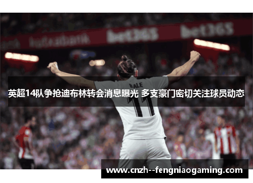 英超14队争抢迪布林转会消息曝光 多支豪门密切关注球员动态 英超14队争抢迪布林转会消息曝光 多支豪门密切关注球员动态