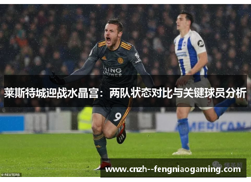 莱斯特城迎战水晶宫:两队状态对比与关键球员分析 莱斯特城迎战水晶宫:两队状态对比与关键球员分析