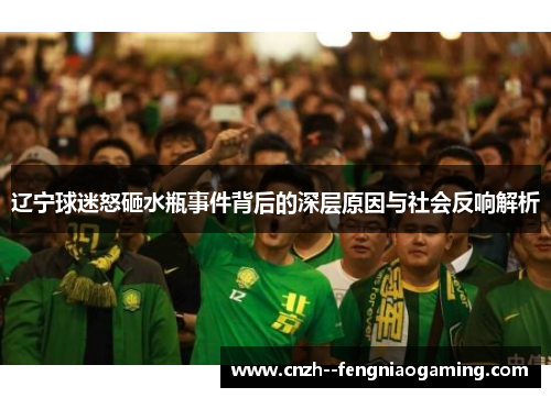辽宁球迷怒砸水瓶事件背后的深层原因与社会反响解析